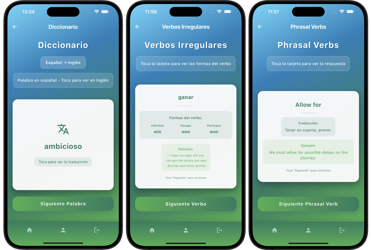 Interfaz de la aplicación mostrando diccionarios y vocabulario